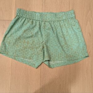 Prana Mint Green Patterned Athletic Shorts